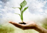 The question, 'What is holistic living?' is a fundamental question, and fundamental questions don't have any answers; but we learnt from Krishnamurti that it is important to investigate such questions. He said we must ask the...